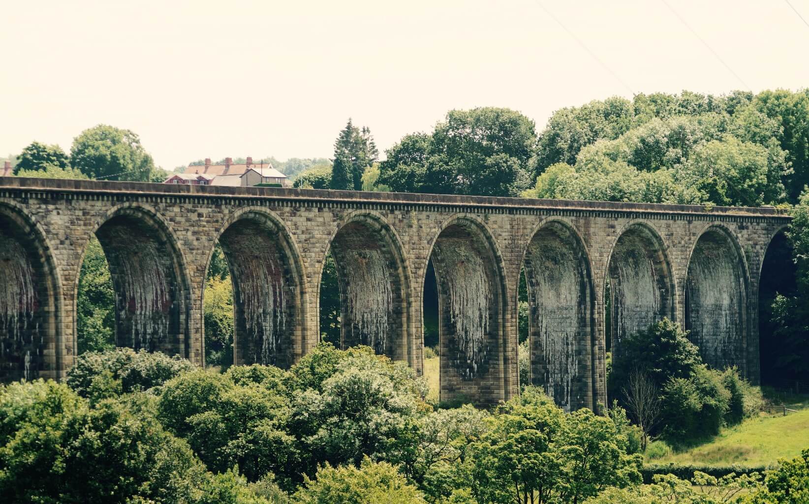 Chemin de fer au milieu de la végétation au Pays de Galles